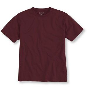 NWT L L Bean Men's Carefree Unshrinkable Tee, Med